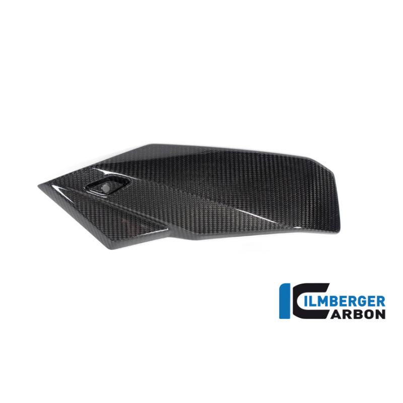 Spoiler gauche pour BMW M1000R / S1000R (21-23+) - Ilmberger Carbone