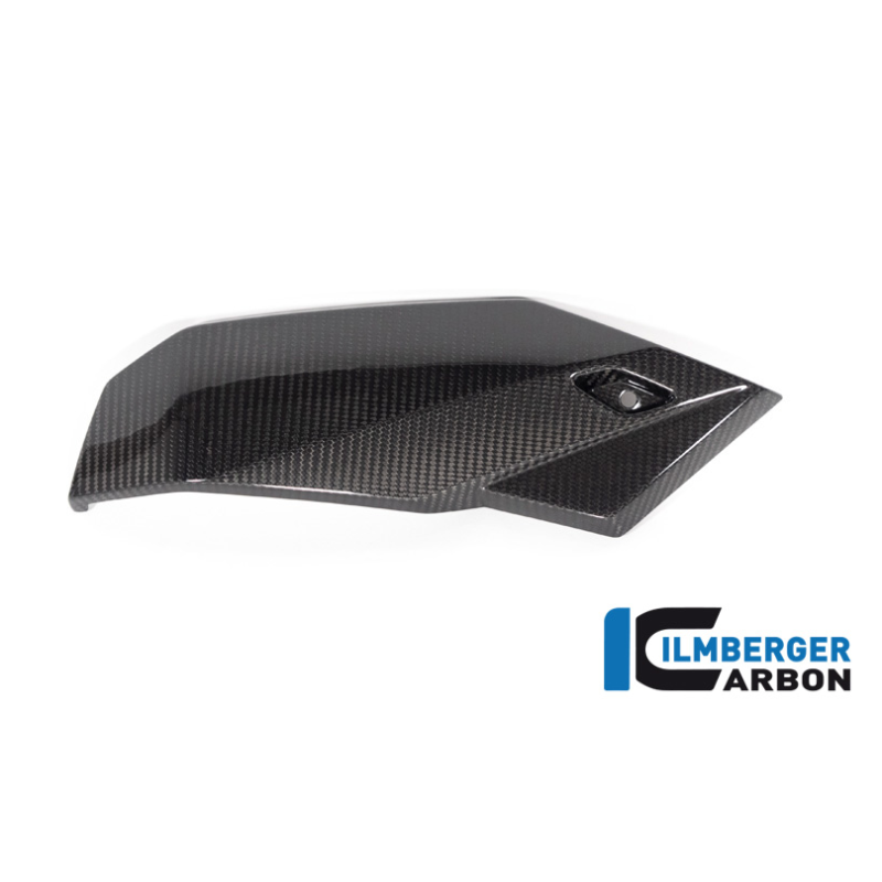 Spoiler Droit pour BMW M1000R / S1000R  - Ilmberger Carbone