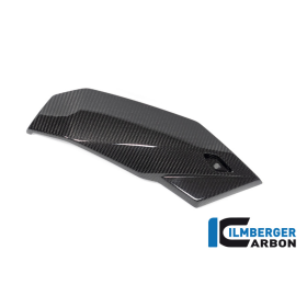 Spoiler Droit pour BMW M1000R / S1000R  - Ilmberger Carbone