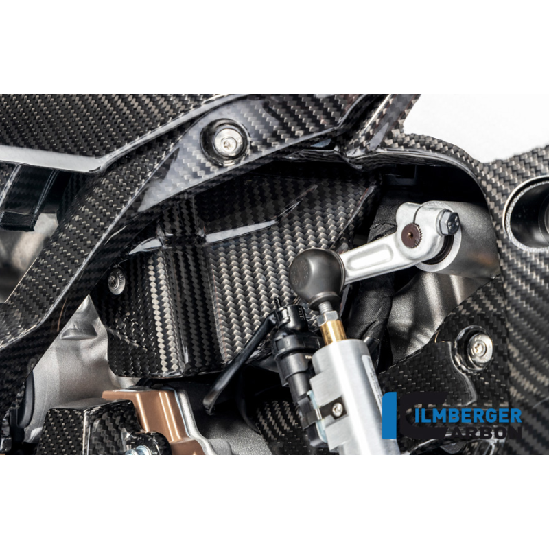 Protection de câblage pour BMW M1000R-RR / S1000R-RR - Ilmberger Carbone