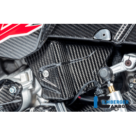 Protection de câblage pour BMW M1000R-RR / S1000R-RR - Ilmberger Carbone