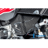 Protection de câblage pour BMW M1000R-RR / S1000R-RR - Ilmberger Carbone