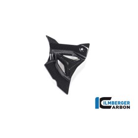 Cache pignon pour BMW M1000R-RR / S1000R-RR - Ilmberger Carbone