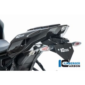 Couvercle de queue arrière pour BMW M1000R / S1000R - Ilmberger Carbone