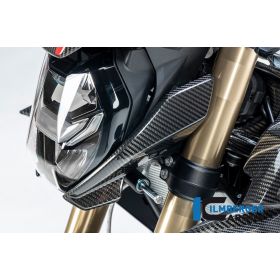 Carénage avant gauche pour BMW M1000R / S1000R  - Ilmberger Carbone