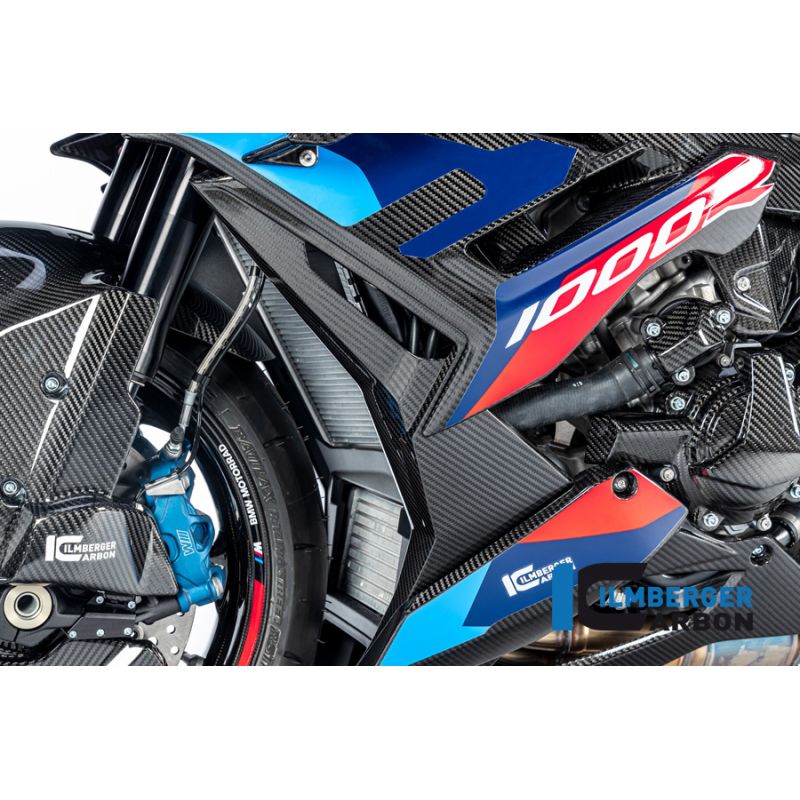 Cache tubulure d'admission pour BMW M1000R - Ilmberger Carbone