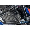 Cache tubulure d'admission droit pour BMW M1000R - Ilmberger Carbone