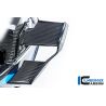 Winglet de carénage gauche pour BMW M1000R - Ilmberger Carbone