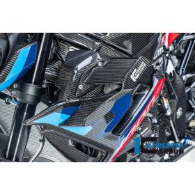 Winglet de carénage gauche pour BMW M1000R - Ilmberger Carbone