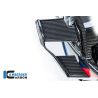 Winglet de carénage droit pour BMW M1000R - Ilmberger Carbone