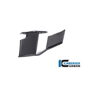 Winglet de carénage droit pour BMW M1000R - Ilmberger Carbone