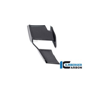 Winglet de carénage droit pour BMW M1000R - Ilmberger Carbone