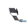 Winglet de carénage droit pour BMW M1000R - Ilmberger Carbone