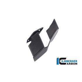 Winglet de carénage droit pour BMW M1000R - Ilmberger Carbone