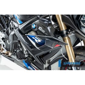 Winglet de carénage droit BMW S1000R (2021+) - Ilmberger Carbone
