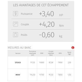 Silencieux MIVV MK3 inox/casquette inox Kawasaki Z900