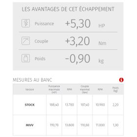 Silencieux homologué MIVV MK3 carbone - BMW S1000RR 2019+