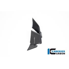 Winglet de carénage gauche pour BMW S1000RR / M1000RR - Ilmberger Carbone