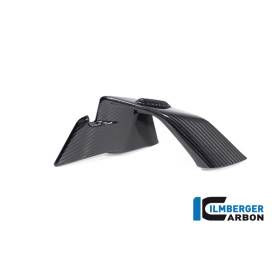 Winglet de carénage gauche pour BMW S1000RR / M1000RR - Ilmberger Carbone