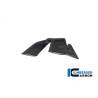 Winglet de carénage gauche pour BMW S1000RR / M1000RR - Ilmberger Carbone