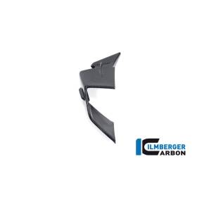 Winglet de carénage gauche pour BMW S1000RR / M1000RR - Ilmberger Carbone