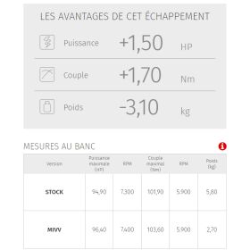 Silencieux MIVV Y.034.LNC / Yamaha XT-Z 1200 Super Ténéré