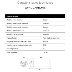 Silencieux carbone homologué MIVV UH.019.LEC / Honda CBR600RR 2003-2004