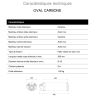 Silencieux carbone homologué MIVV UH.019.LEC / Honda CBR600RR 2003-2004