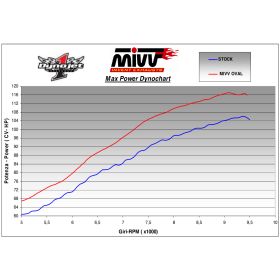 Silencieux inox MIVV T.007.LX2 / Triumph Tiger 1050 2007-2012