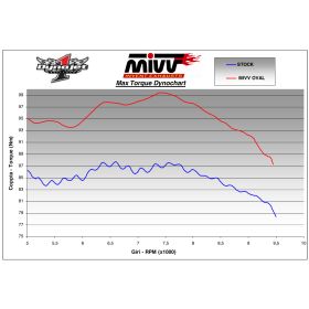 Silencieux inox MIVV T.007.LX2 / Triumph Tiger 1050 2007-2012