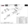 Silencieux double homologué MIVV D.017.L2S / Ducati Monster 750-900 1999-2002