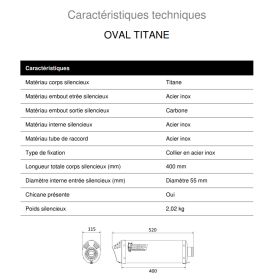 Silencieux homologué titane MIVV B.002.LNC / BMW R1200GS 2004-2007