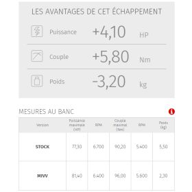 Silencieux Carbone homologué MIVV B.009.LEC / BMW R1150R 2000-2006