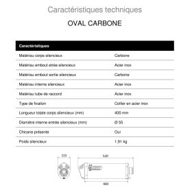 Silencieux Carbone MIVV B.010.LEC / BMW K1300 R-S 2009-2016