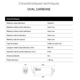 Silencieux carbone homologué MIVV H.006.LE / Honda VFR800 1998-2000