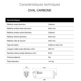 Silencieux Carbone MIVV H.020.LEC / Honda CB600F Hornet 2003-2006