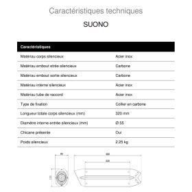 Silencieux inox Suono MIVV B.003.L7 - BMW K1200R/S/GT 2005-2008