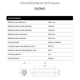 Silencieux inox homologué Suono MIVV B.009.L7 / BMW R1150R 2000-2006