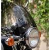 BULLE DART SERIE 3  Kawasaki W800