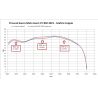 Silencieux homologué MISTRAL CONIQUES EXCLUSIVE FULL BLACK MOTO-GUZZI V7 850 Euro5