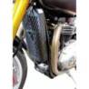 Grille de protection pour radiateur Triumph Thruxton 1200 - ACCESS DESIGN