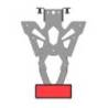 Support de plaque Triumph Bonneville 1200, Speed Twin 1200 - Access Design