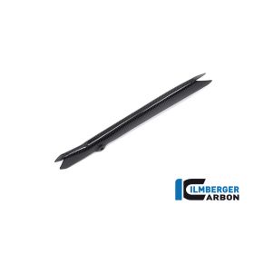 Couvercle conduite de frein BMW R1250 GS - Ilmberger Carbon