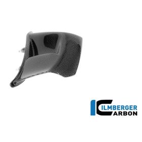 Winglet droit carbone brillant Panigale V4 2025 Ilmberger Carbon
