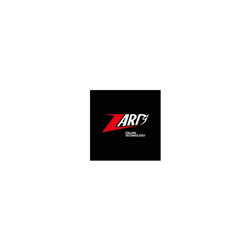 DB Killer Zard Ligne Triumph Trident 660 ZTP096S00SCO DB Killer Zard Ligne Triumph Trident 660 ZTP096S00SCO