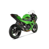 Silencieux Racing Kawasaki EX400 / Ninja 500 - Akrapovic Carbone