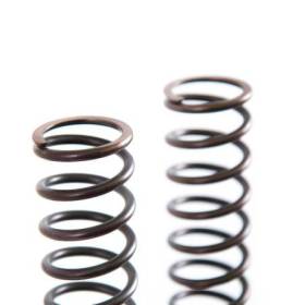 Ressorts de fourche triumph (2000-2012)