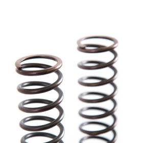 Ressorts de fourche triumph (2000-2012)