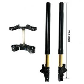 Kit fourche ohlins usd low + platines et pieds unit garage (version basse)