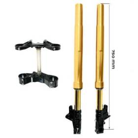Kit fourche ohlins usd low + platines et pieds unit garage (version basse)